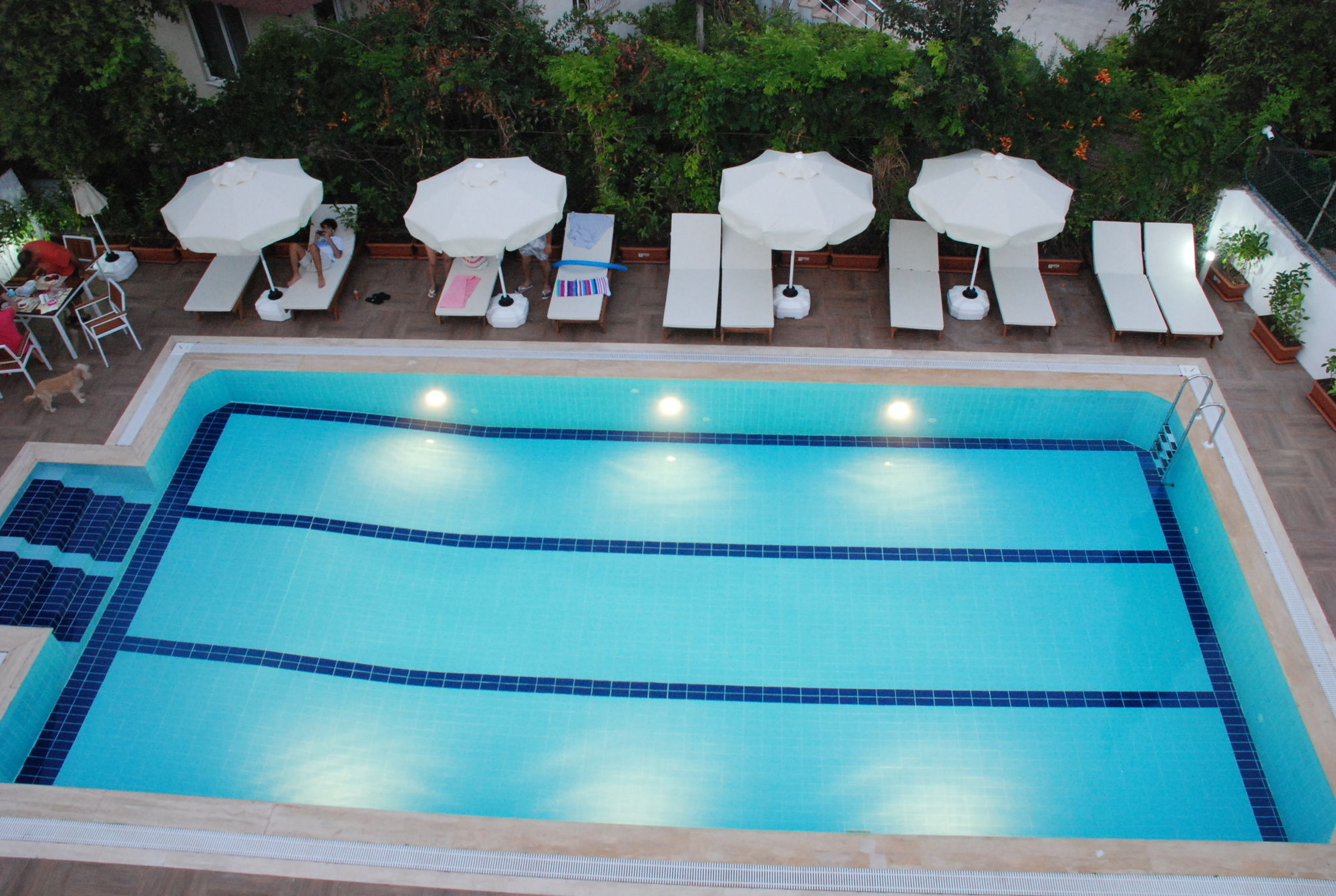 Elegance Hotel קמר מראה חיצוני תמונה